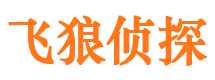 金湾飞狼私家侦探公司